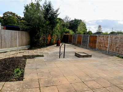Picture 16